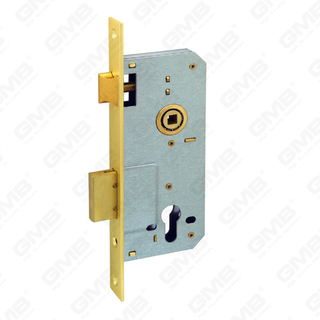 Princeps Securitatis Mortise Door lock Steel Brass deadbolt Zamak Brass pessulus cylindri foraminis Lok Corpus (6005R)