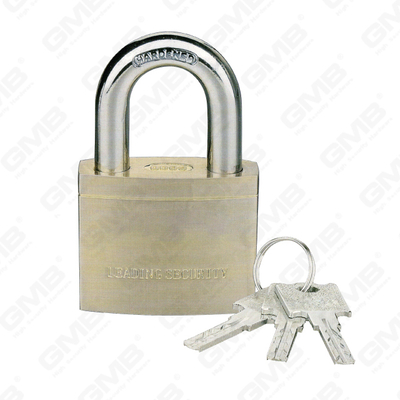 Maximum Key & Ferocactus Mittite Cadmiae Alloy sursum Padlock (073)