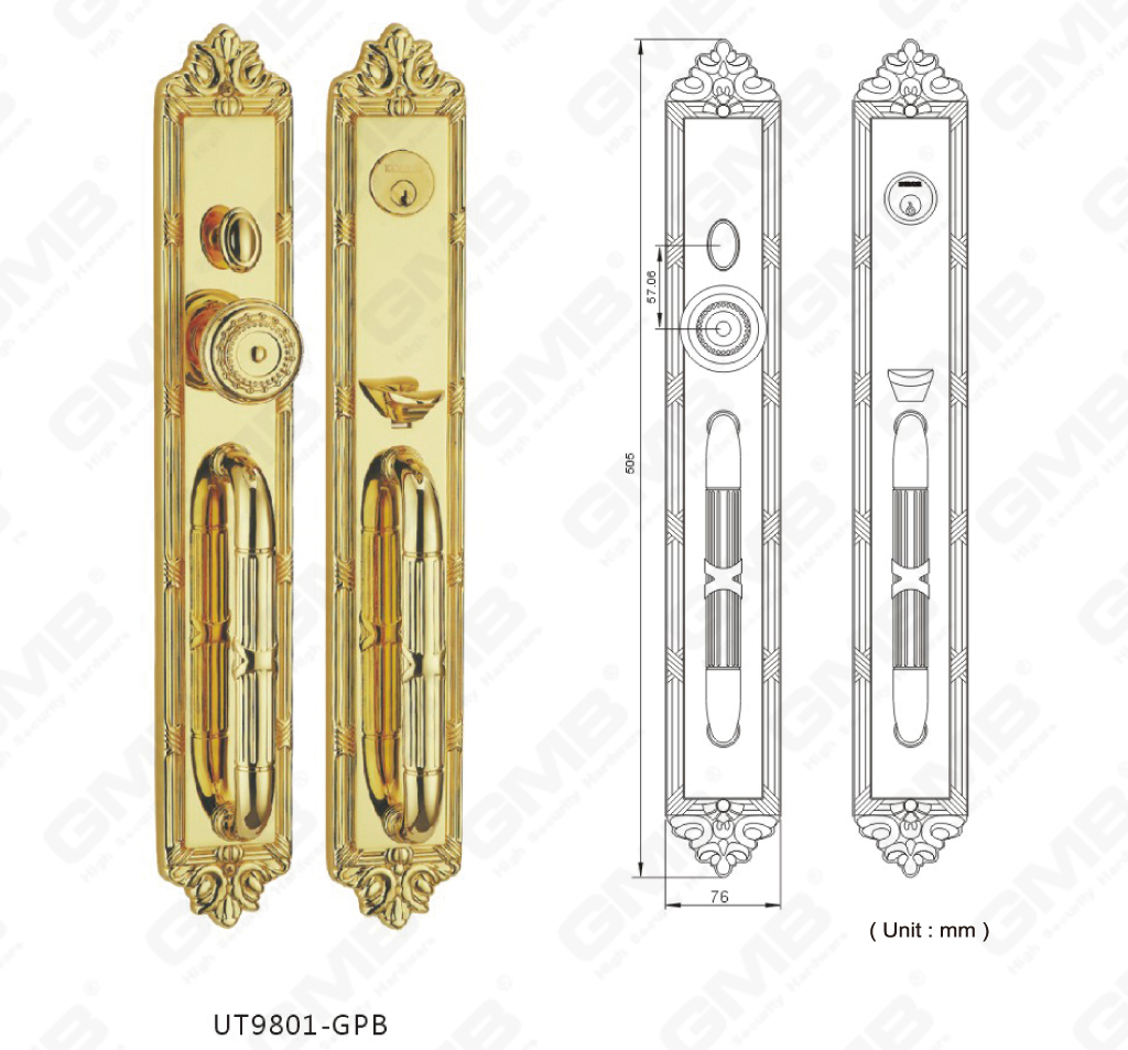 Brass Extra Villam Door Palpate Application locd Americana comis luxuriosis (UT9801-GPB)