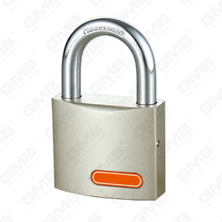 Nickel Spray Pianted Iron Padlock cum Computer Key（052）