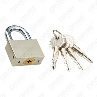 Transgressus Key Brass Padlock (017)