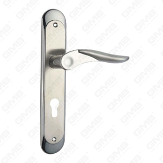 High Quality # CCCIV Aliquam Steel Porta Palpate vecte Handle (Hl804h-HK23-SS)