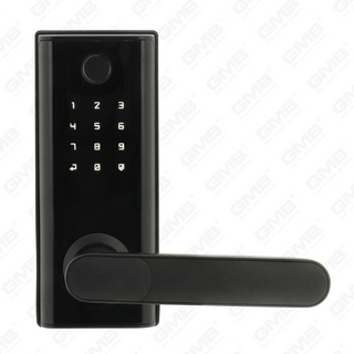 American Latin IMPERVIUS KEKELLESS EUGELLIS / TT Wireless Digital Password FingerPrint MF Card Smart Porta Cincinno (A014)