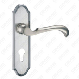 High Quality # CCCIV Aliquam Steel Porta Palpate vecte manubrio (HM507-HK03-SS)