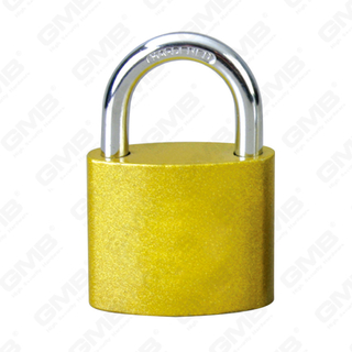 Aes columpne ferrea Padlock cum Crossed Key（042）