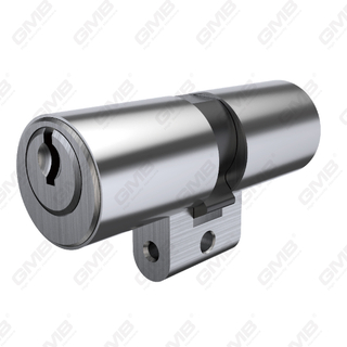 Aeris Helvetia Germania duplex Helvetica per profile cincinno cylindri Helvetica cylindri ∅22