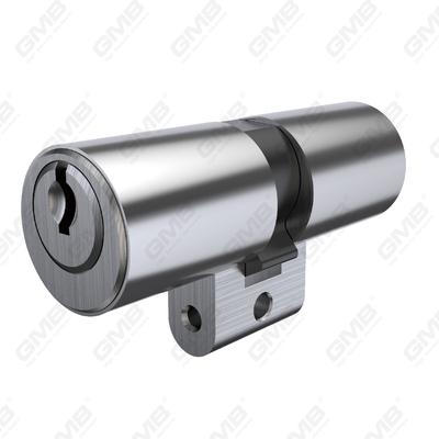 Aeris Helvetia Germania duplex Helvetica per profile cincinno cylindri Helvetica cylindri ∅22