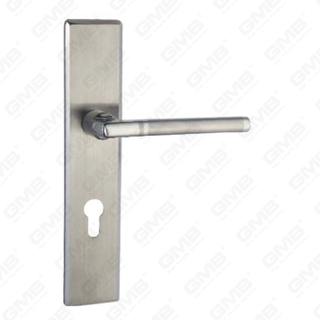 High Quality # CCCIV Aliquam Steel Porta Palpate vecte Handle (HL801-HK11-SS)