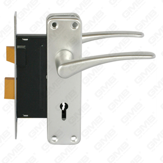 Princeps Securitatis Door Lock set cum pessulus pessulum Obfirmo set obfirmo casu cincinno manubrio (RC02)