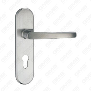 High Quality # CCCIV Aliquam Steel Porta Tractare vecte Handle (HM513-HK53-SS)