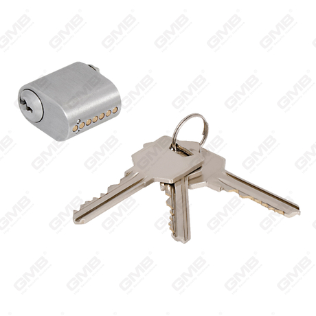 Skandia ovalis cylinder (GMB-06s)