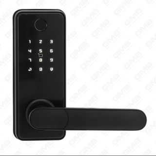 American Latin IMPERVIUS Keysless Entry Tuuya / TT Wireless Digital Password FingerPrint MF Card Smert Porta clausum (A012)