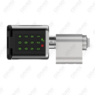 High Security Multi-Unlocking Vias IP66 Fingerprint Password Kelless WiFi Digital Vocabulary Modular Profile Tuya / TT App Smart Electronic Porta Cylindro Cylindro (5D03)