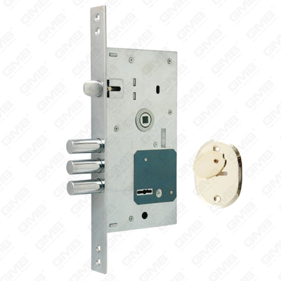 Princeps Securitatis Mortise Lock_252RL