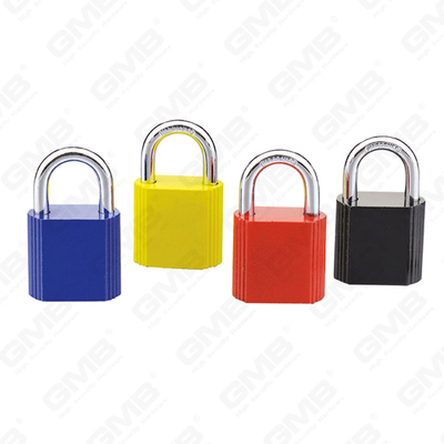 FERRUM PADLOCK LACELIKE COLATUS (004)