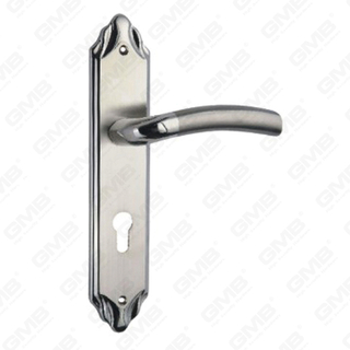 High Quality # CCCIV Aliquam Steel Porta Palpate vecte Handle (HL810, HK37-SS)