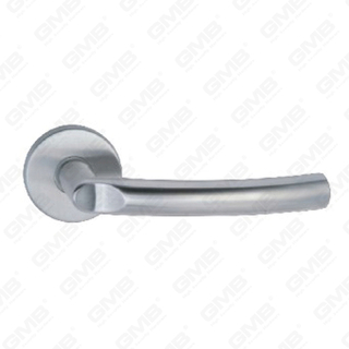 High Quality # CCCIV Aliquam Steel Porta Handle Rose vecte Handle (Sh99-Sy21-SS)