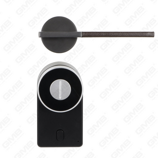 European keyless Entry T tongue password remotis wireless Digital Smert Porta clausum (U009)