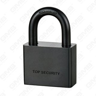 Electrophoresis Black Iron Disc Padlock (123)