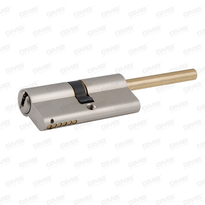 Securitatis aes cylindrici cum cauda bar (GMB, CY, 04b)