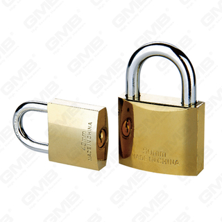 Cylindrus aereus cylindricus Aurum patella Iron Padlock (260)