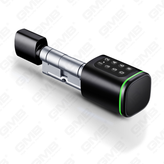 Biometric dolor NFC Card Password Collaborative Cylindrici Electronic Cylindrum Electronic Cylindri (S1 KK)