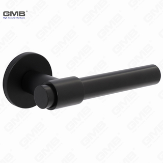 Moderni Simple solidum cadmiae Alloy Scinditur Porta clausum manubrio per Rosette (Z062410)