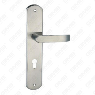 High Quality # CCCIV Aliquam Steel Porta Palpate vecte Handle (Hl902, HK09-SS)